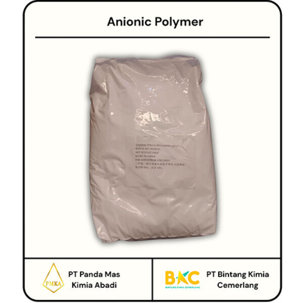 ANIONIC POLYMER